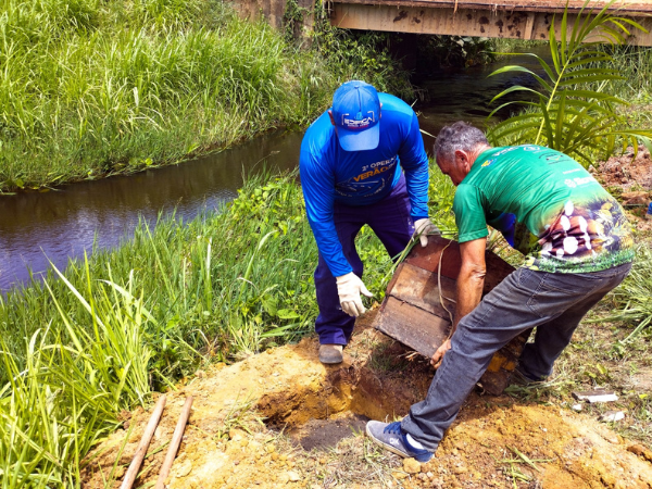 Prefeitura de Mojuí dos Campos realiza plantio de mudas de açaí às margens do igarapé Beira Rio
